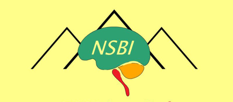 north shore brain injury society 768x337